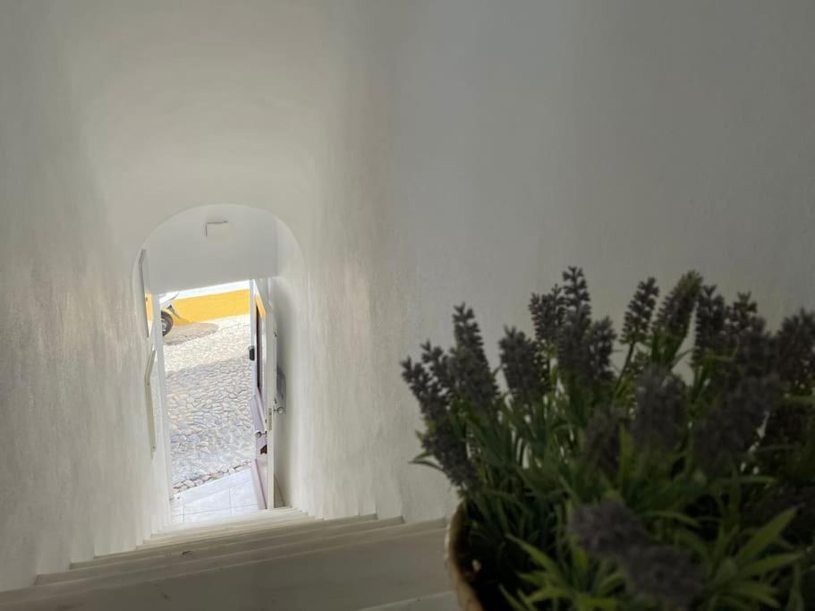 Apartmán Casa Da Oliveira Évora Exteriér fotografie